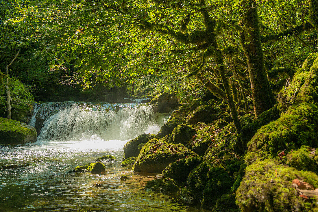 Wasserfall und moosbewachsene Felsen, Source de la Loue, Loue, Mouthier-Haute-Pierre, Département Doubs, Bourgogne-Franche-Comté, Jura, Frankreich