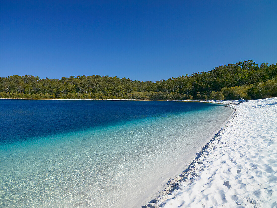 Unberührter Lake Mckenzie - Fraser Island, Queensland, Australien