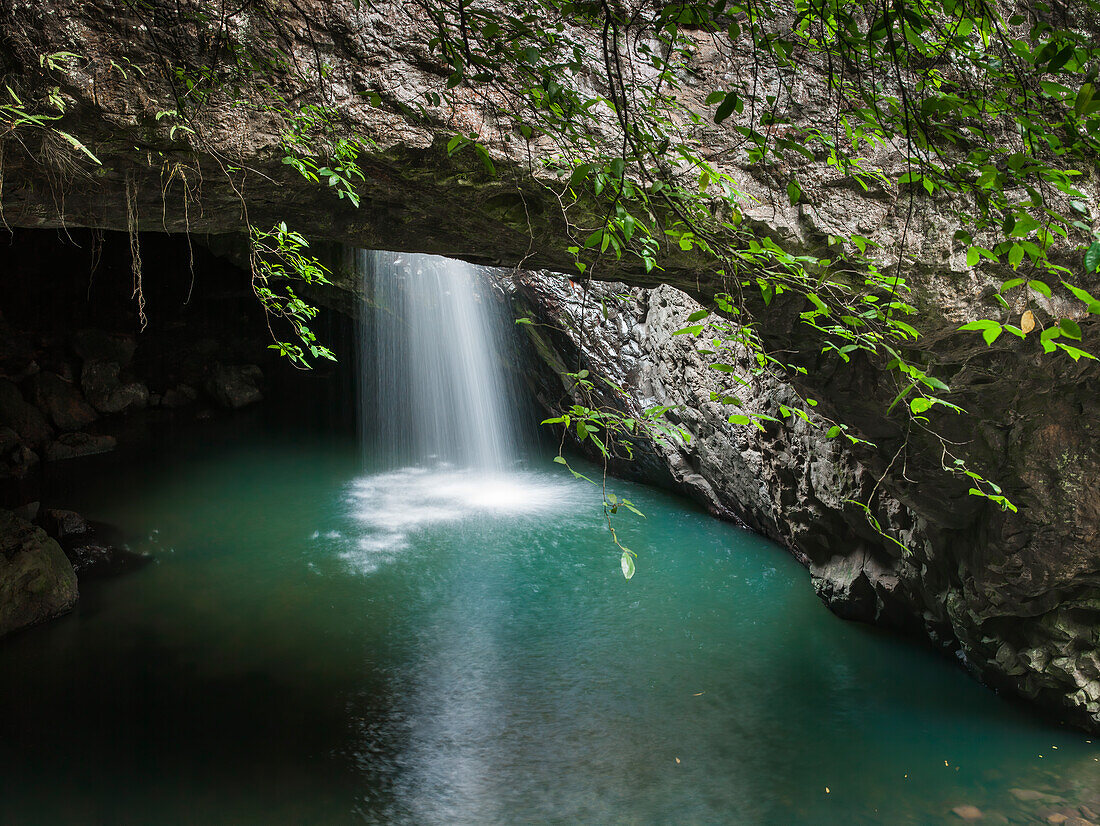 Water flowing into pool at the Natural Bridge in the Gondwana Rainforest - Springbrook National Park - Queensland