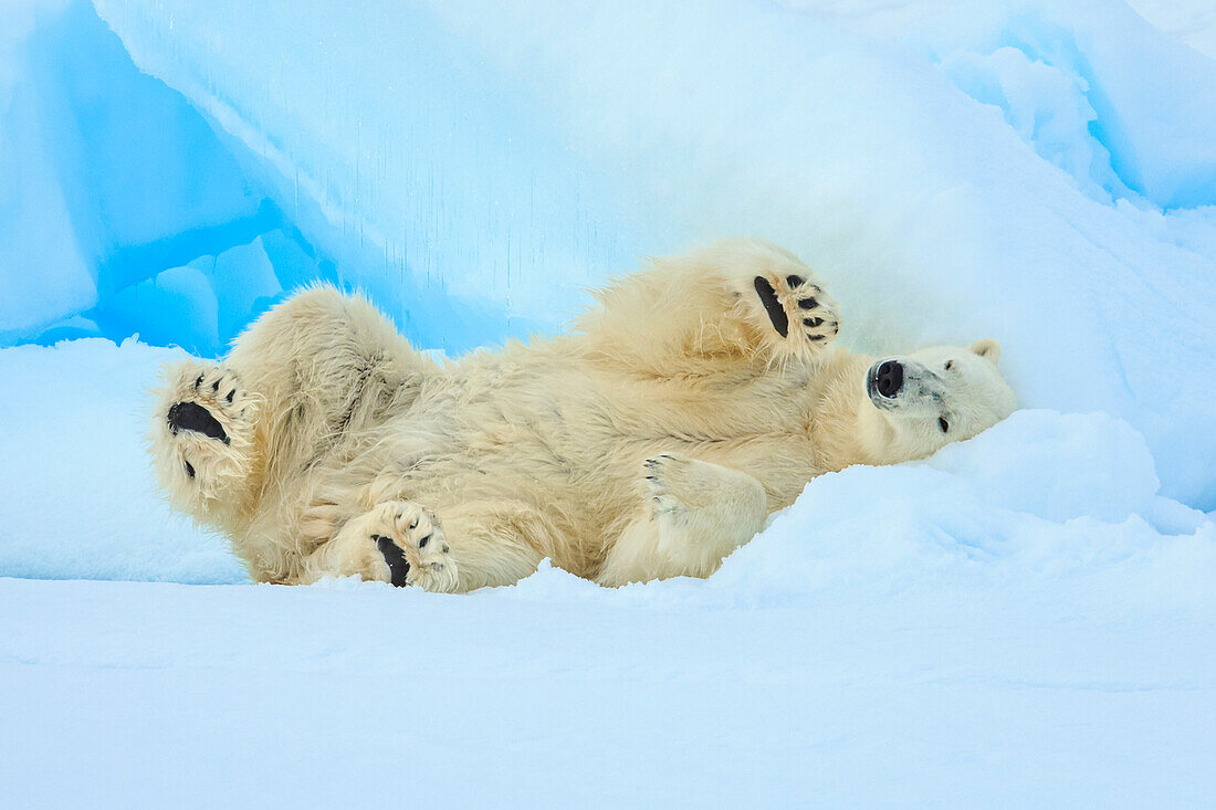 Svalbard, Norway