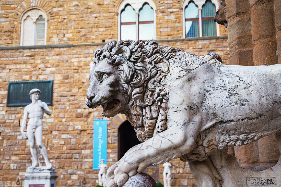 Einer der Medici-Löwen mit einer Kopie von Michelangelos Statue des David im Hintergrund, Florenz, Toskana, Italien