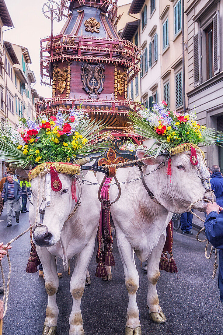 Cart Festival Parade, Florenz, Toskana, Italien
