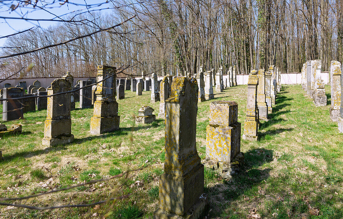 Buttenheim, Jüdischer Friedhof in Oberfranken, Bayern, Deutschland