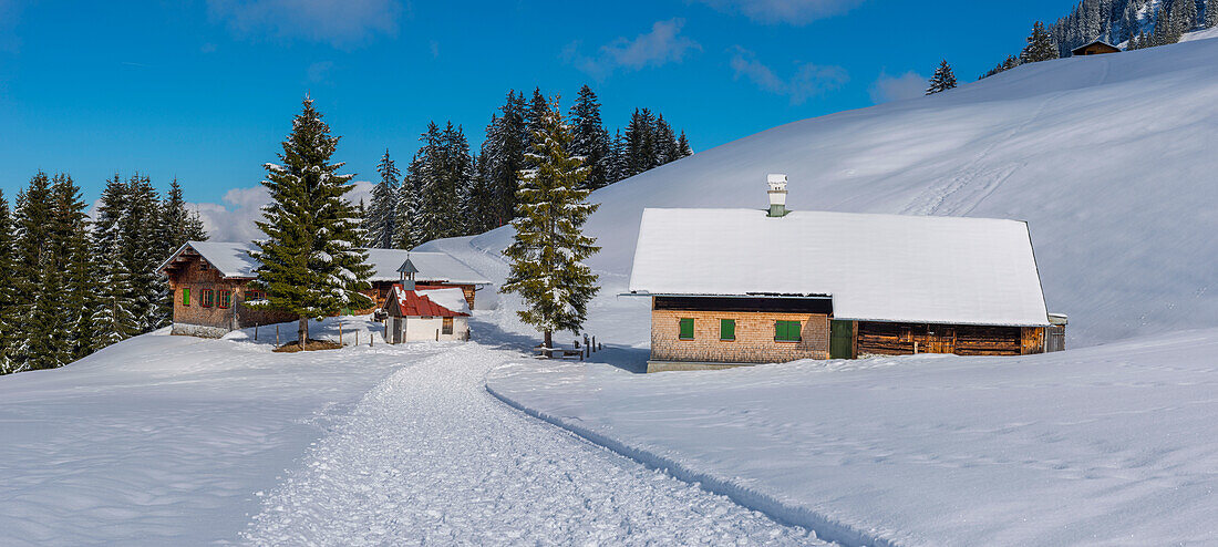 Panorama Höhenweg, Kleinwalsertal, Allgäu Alps, Vorarlberg, Austria, Europe