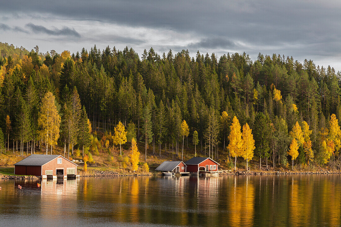 Rote Bootshäuser am herbstlichen See. Ullanger, Västernorlands, Schweden.