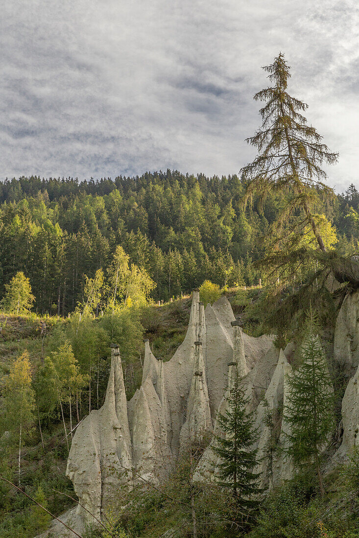 Erpyramiden Terenten, Erosion, Felsnadeln. Südtirol, Italien.
