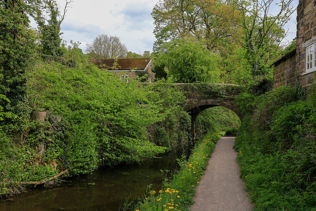 Cromford Canal, Whatstandwell, England.
