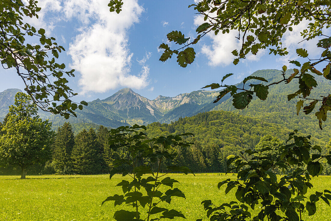 Blick von unten auf den Geigelstein der leicht von Wolken verdeckt ist. Schleching, Achental, Oberbayern, Bayern, Deutschland, Europa