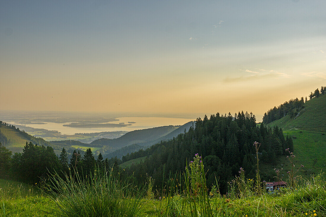View of the Chiemsee from the Kampenwand at sunrise. Tussocks of grass in the foreground. Aschau im Chiemgau, Chiemgau, Chiemgau Alps, Upper Bavaria, Bavaria, Germany, Europe,