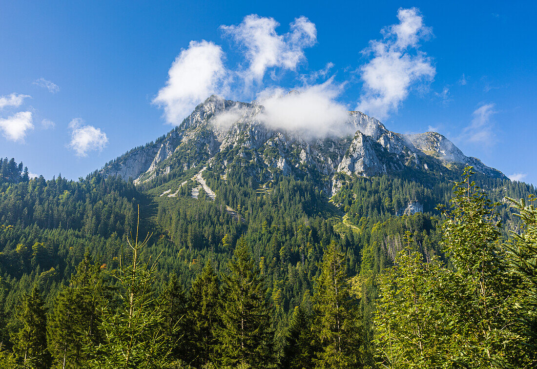 The pillar shrouded in wafts of cloud. view from below. Fussen, Allgaeu, Swabia, Bavaria, Germany, Europe