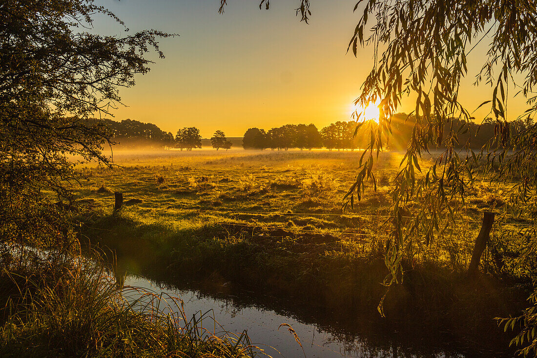 Sonnenaufgang auf einer Weide. Uckermünde, Stettiner Haff, Mecklenburg-Vorpommern, Deutschland, Europa