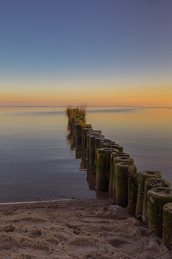 Buhlen on the Baltic Sea coast near Uckermünde at sunrise. Baltic Sea, Szczecin Lagoon, Mecklenburg-West Pomerania, Germany, Europe