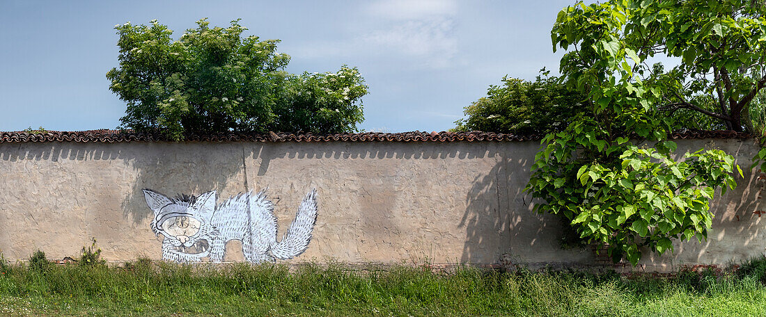 Mauer mit Graffiti, gemalte Katze