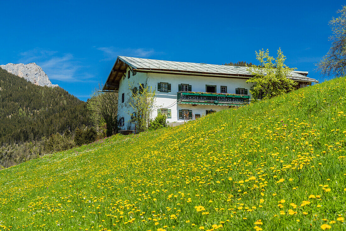 Farmhouse near Berchtesgaden, Upper Bavaria, Bavaria, Germany