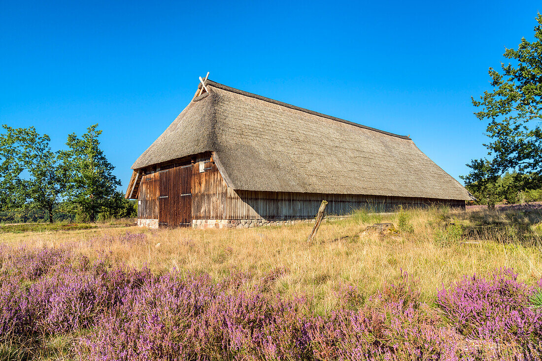 Sheepfold in the Lüneburg Heath near Bispingen, Lower Saxony, Germany