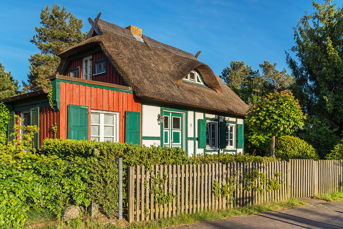 Reetdachhaus in Born, Fischland-Darß-Zingst, Mecklenburg-Vorpommern, Deutschland