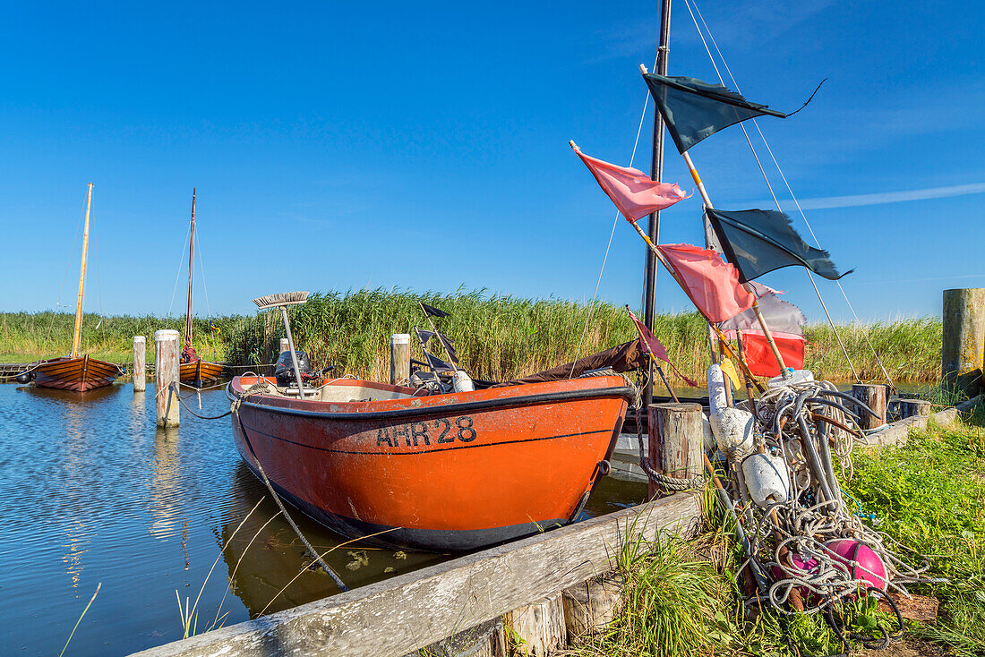 Port of Althagen, Ahrenshoop, Fischland-Darß-Zingst, Mecklenburg-West Pomerania, Germany