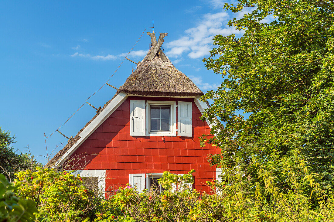 Thatched cottage in Ahrenshoop, Fischland-Darß-Zingst, Mecklenburg-West Pomerania, Germany