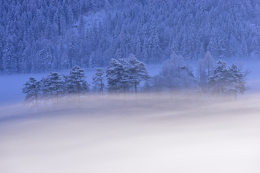 View of the group of trees on an island in the frozen Eibsee, Garmisch-Partenkirchen, Bavaria, Germany