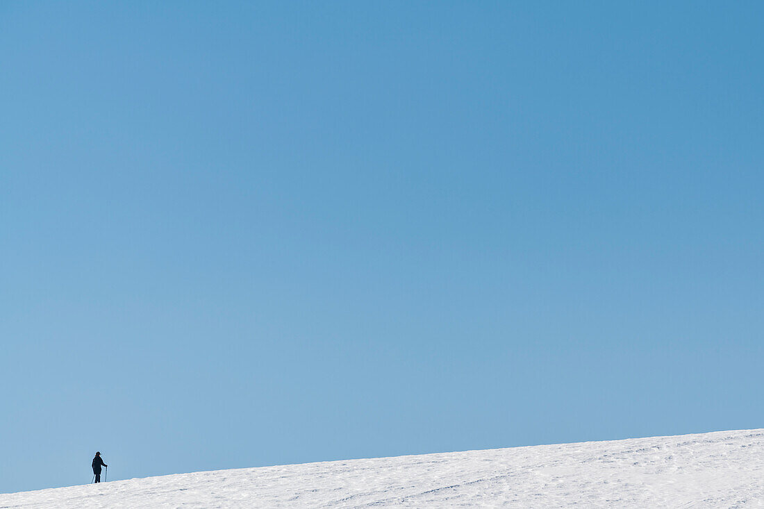 Wanderin, Schnee, Compatsch, Seiser Alm, Südtirol, Alto Adige, Italien