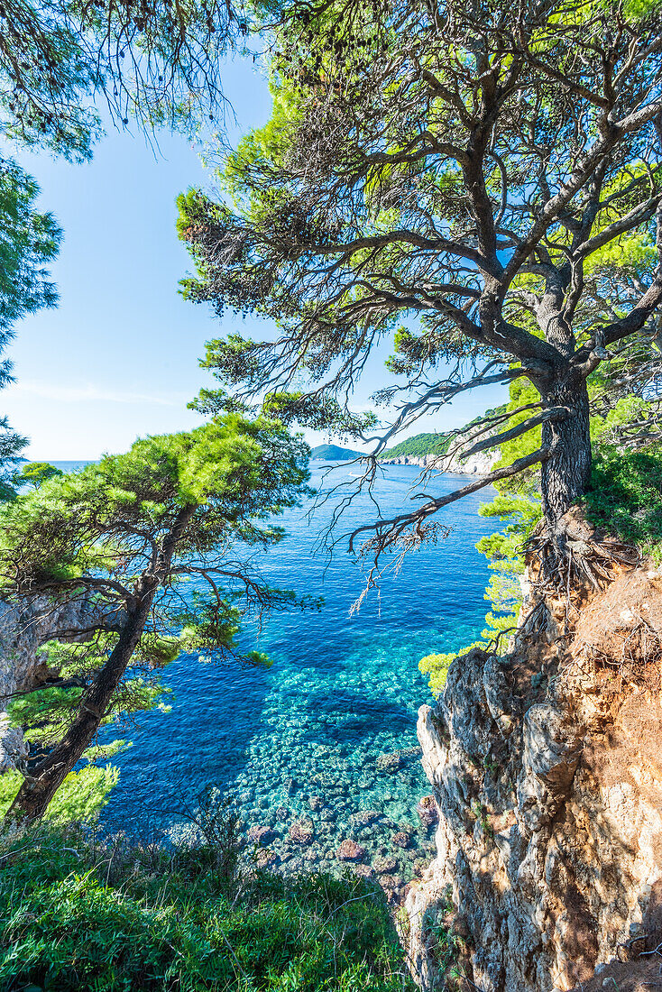 Küste der Insel Koločep nahe Dubrovnik, Kroatien