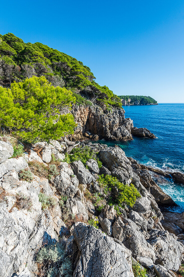 Rocky coast on Kolocep island near Dubrovnik, Croatia