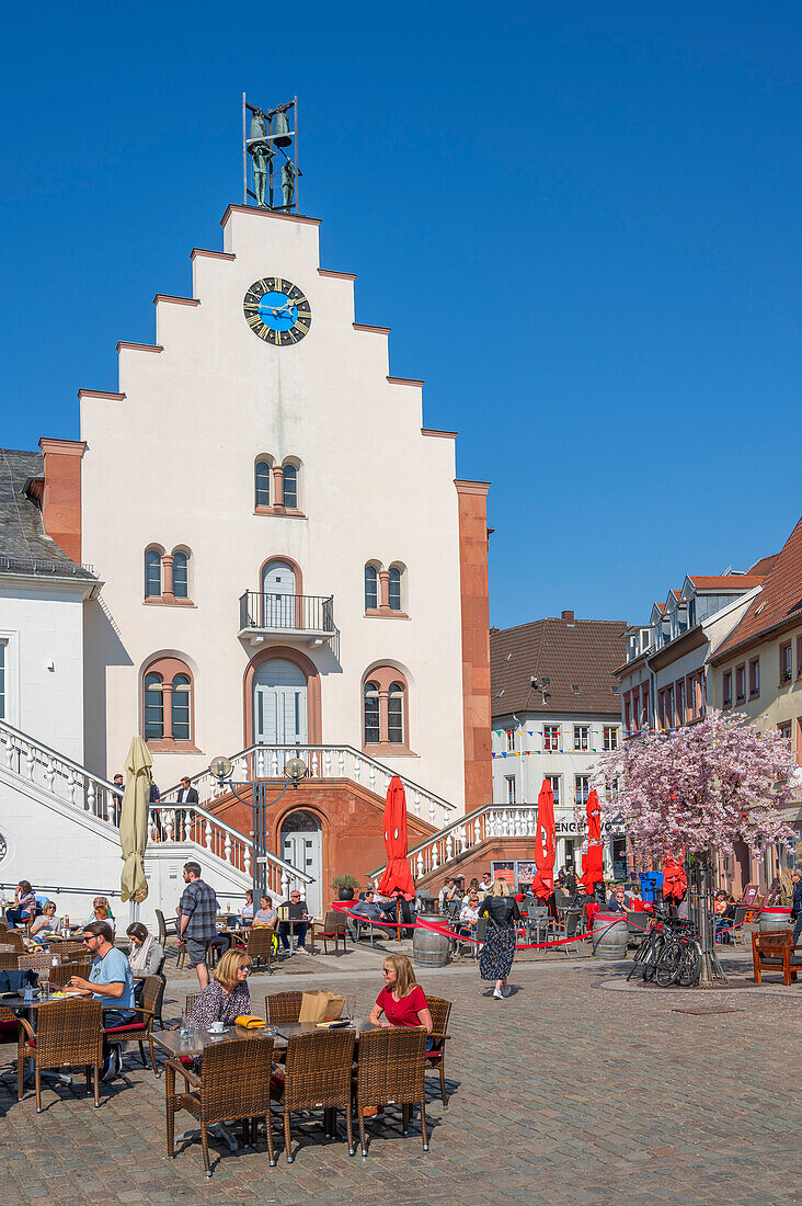 Town hall square with almond trees in bloom, Landau in der Pfalz, German Wine Route, Southern Wine Route, Rhineland-Palatinate, Germany