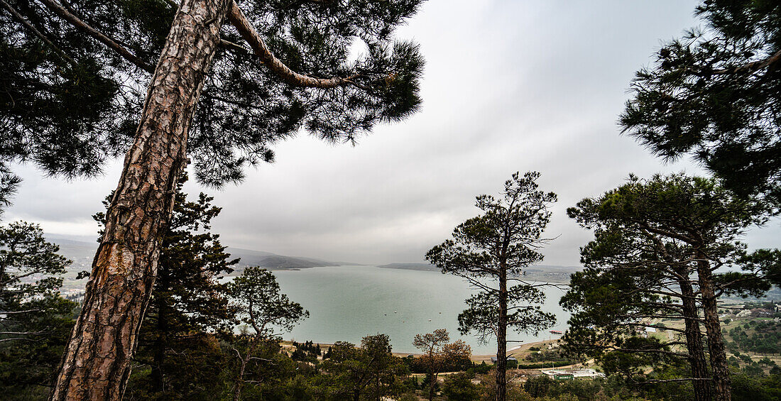 Rainy day on the shore of Tbilisi sea in early spring, capital city of Georgia