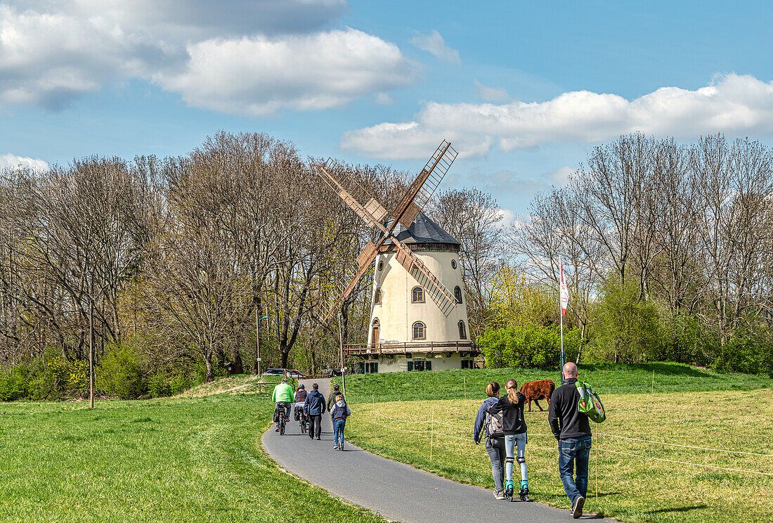 Die Gohliser Windmühle am Elbe Radweg ist eine alte Turmholländer-Windmühle in Dresden-Gohlis, Sachsen, Deutschland