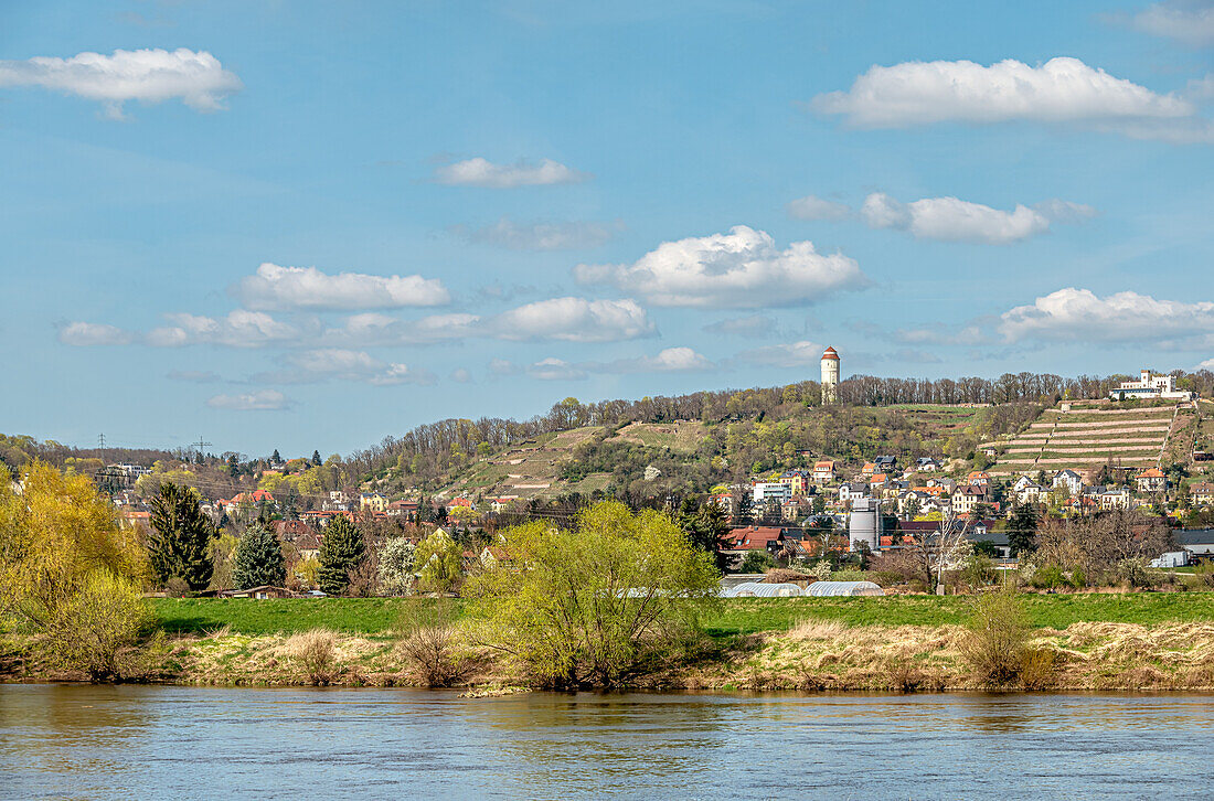 View of Radebeul seen from the cycle path on the left bank of the Elbe, Dresden, Saxony, Germany