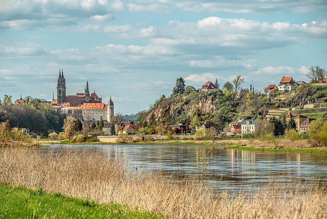 View of Meissen seen from the Elberadweg between Dresden and Meissen on the left bank of the Elbe, Saxony, Germany