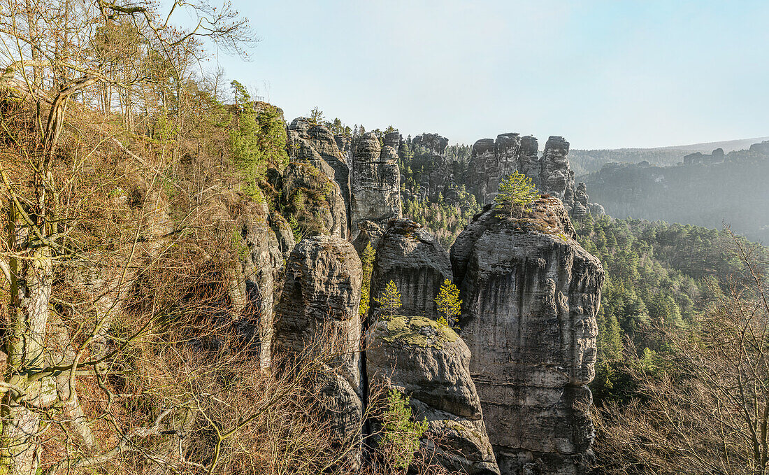 Panorama of the Bastei view in the early morning, Saxon Switzerland, Saxony, Germany