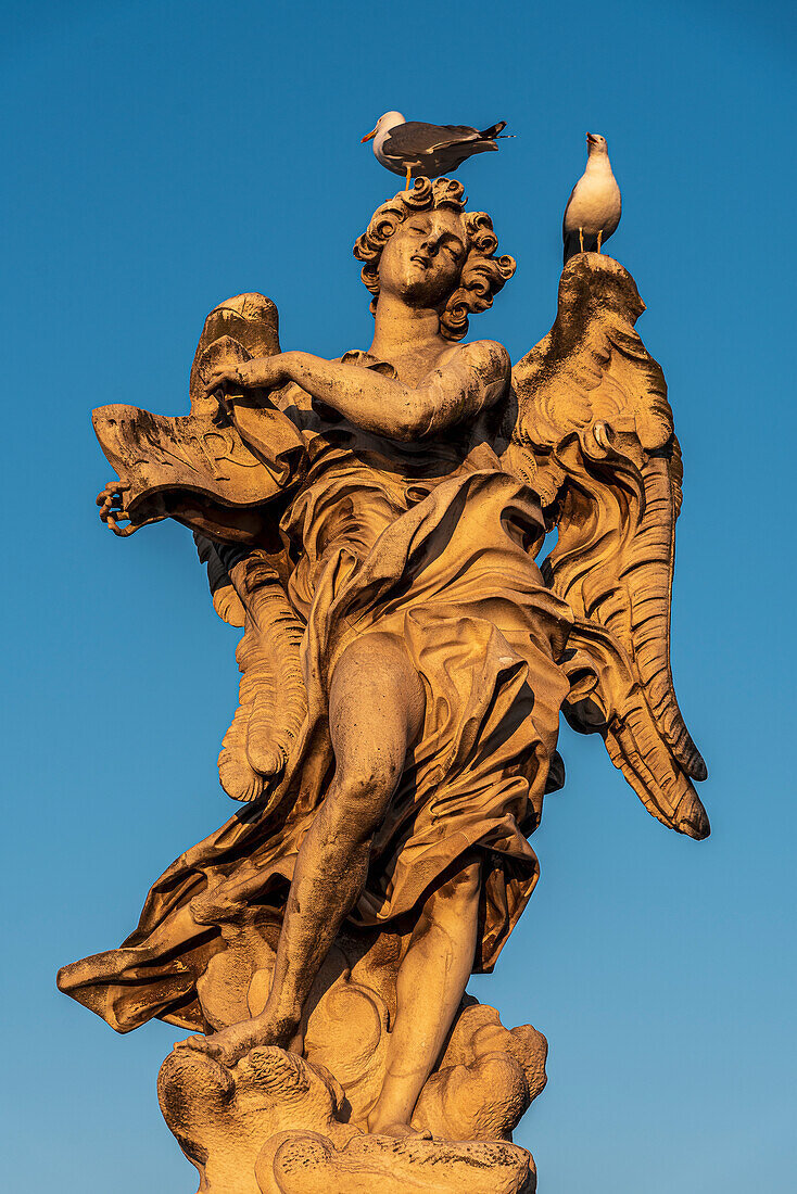 Möwe auf Figur auf der St. Angelo-Brücke (Ponte Sant'Angelo) und Castel Sant'Angelo, Engelsburg, UNESCO-Weltkulturerbe, Rom, Latium, Italien, Europa