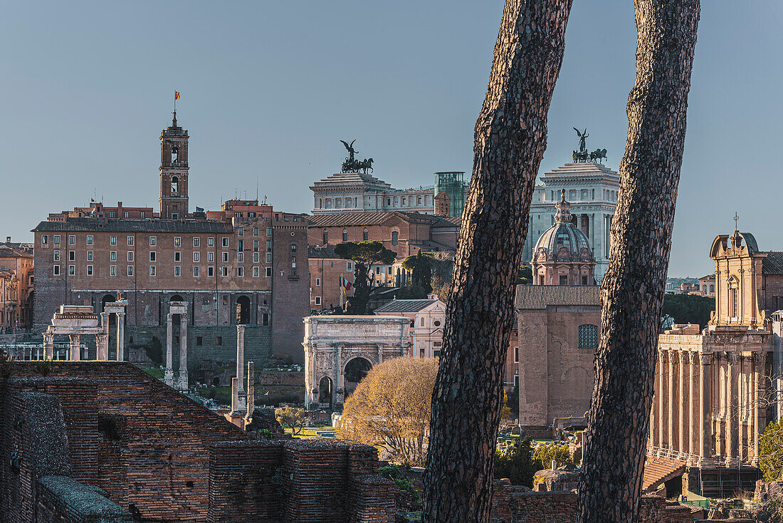 Ancient Forum with Monumento a Vittorio Emanuele II in the background, Rome, Lazio, Italy, Europe
