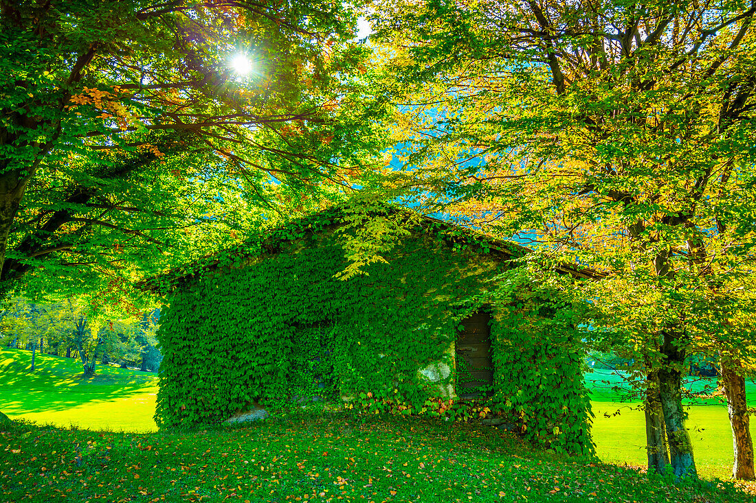 Baum und Haus auf dem Feld mit Blick auf die Berge im Herbst in der Lombardei, Italien