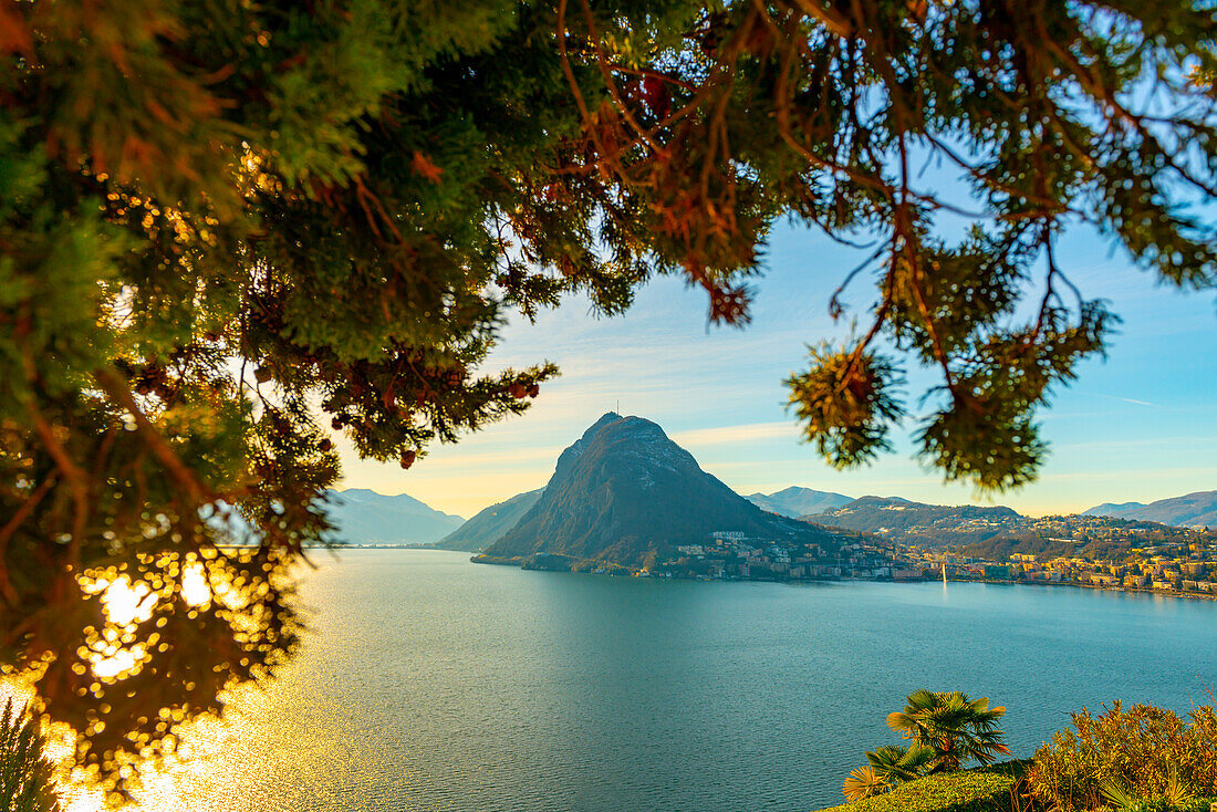 Tree Branch and Lake Lugano and City with Mountain and Blue Sky in Park San Michele in Castagnola in Lugano, Ticino in Switzerland.