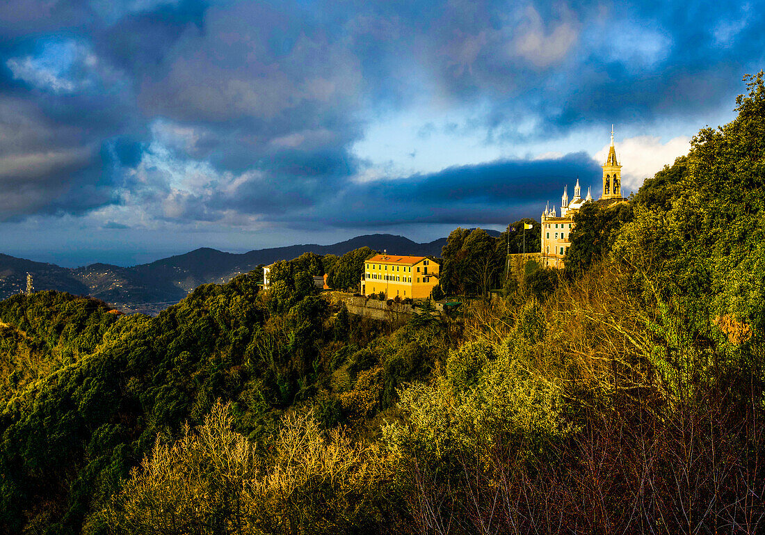 Sanctuary of the Madonna di Montallegro in the morning light, Rapallo, Liguria; Riviera of the Levant; Italy