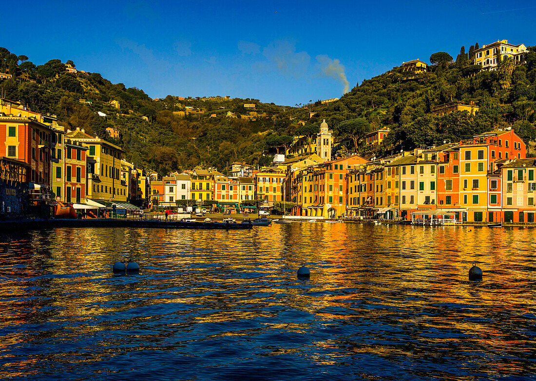 Portofino harbor in winter, Province of Genoa, Liguria, Riviera di Levante, Italy