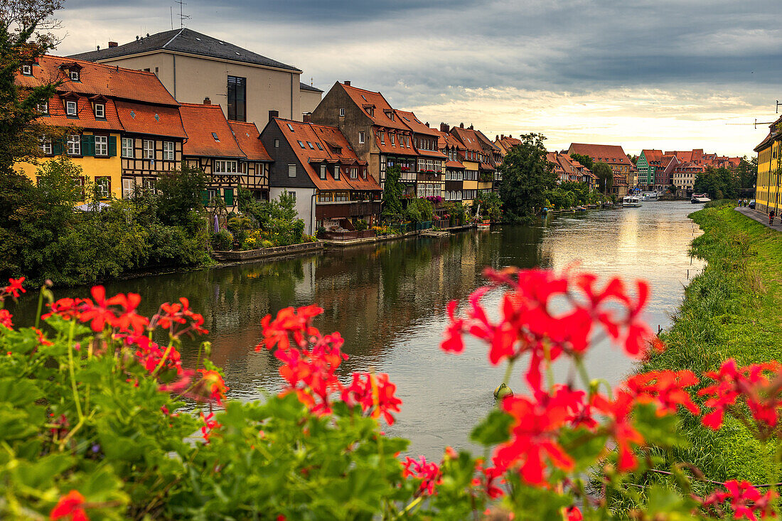 Red geraniums on a bridge in Little Venice in Bamberg at sunset.