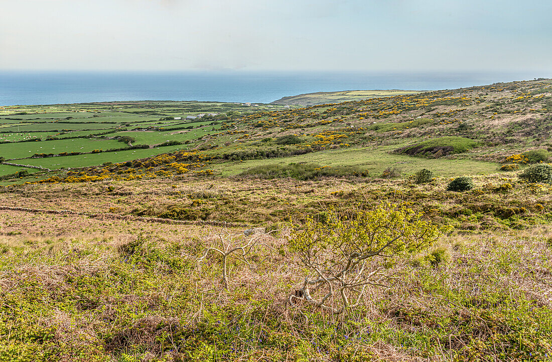 Coastal landscape at St.Ives, Cornwall, England, UK
