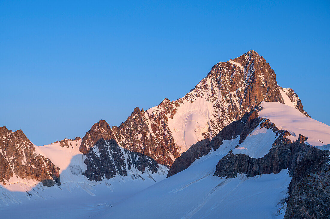 Finsteraarhorn, highest mountain in the Bernese Alps (4274 m), in the morning light, Bernese Oberland, Canton Bern/Valais, Switzerland