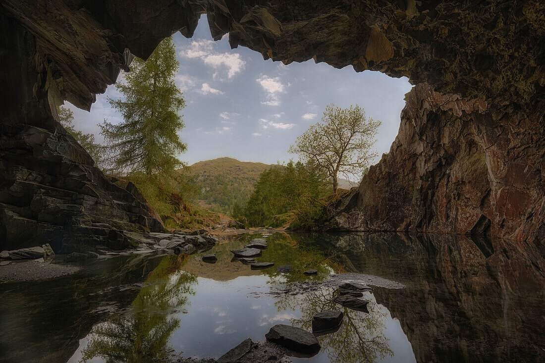 Looking out of the cave, Rydal Cave, Lake District, England, UK.