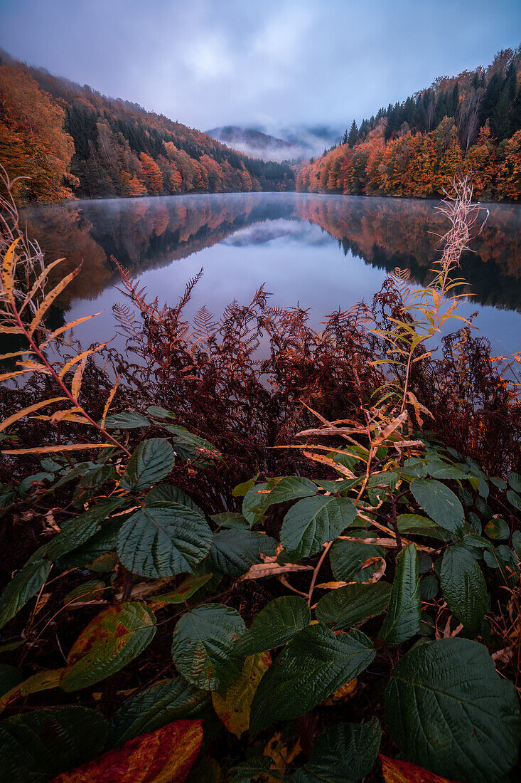 The Erletortalsperre near Suhl, Schleusingen, Thuringia, Germany,