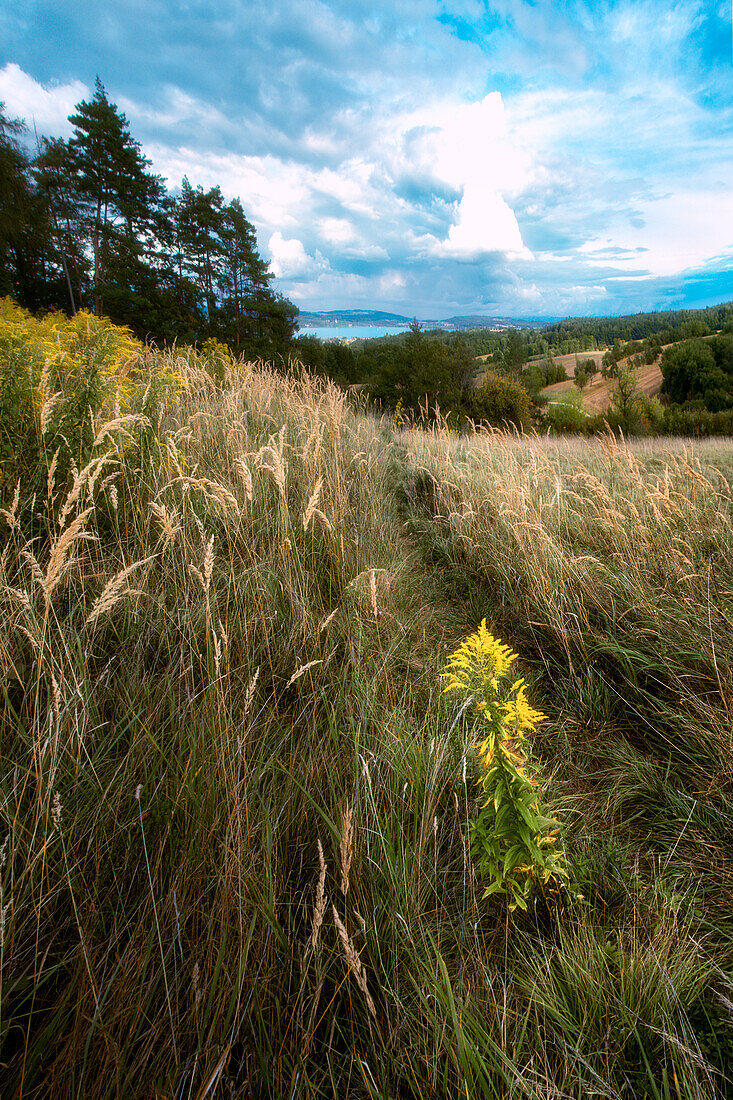 Wandern um den Bodensee, Bayern, Deutschland