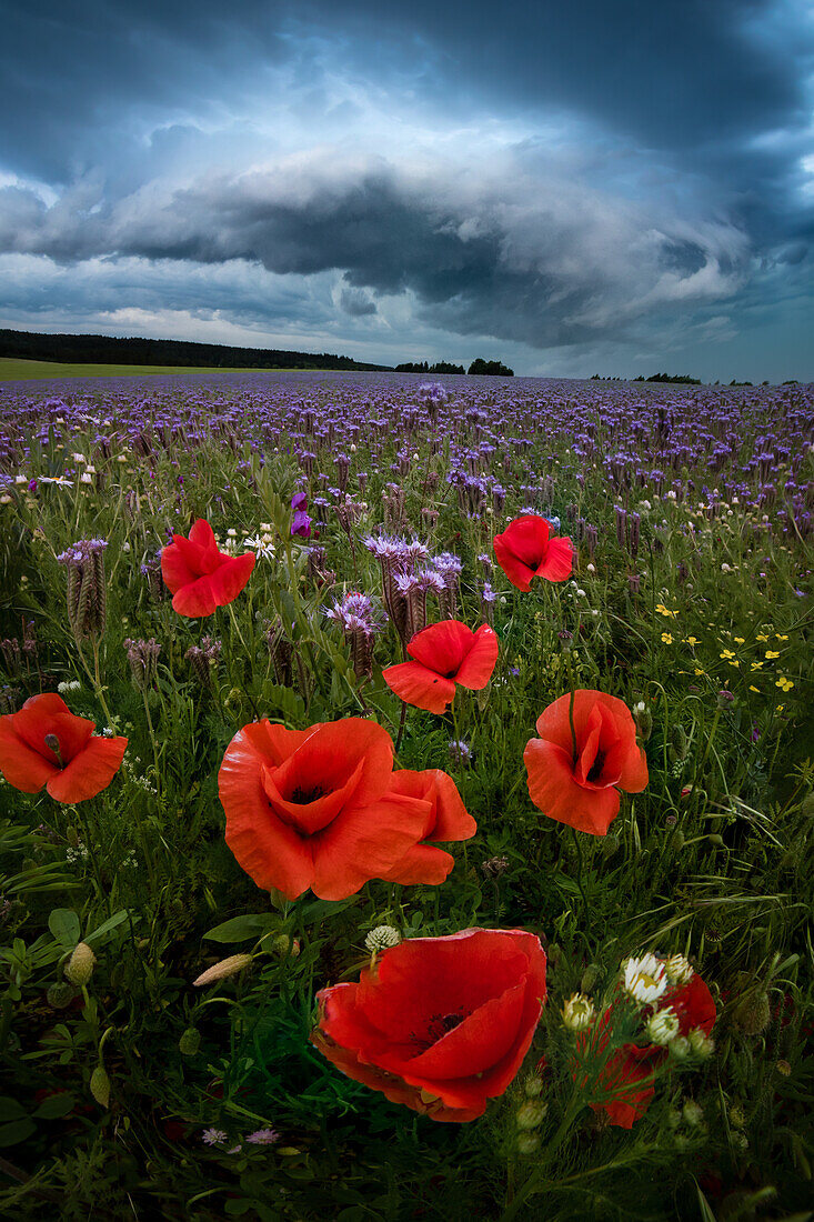 Storm gathering over the fields near Rohr, Thuringia, Germany