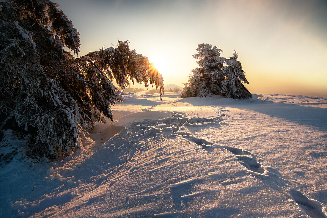 Sunset on the Wasserkuppe, Rhoen, Hesse, Germany