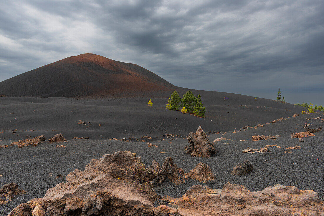 Chinyero Volcano, Arena Negras Zone, Teide National Park, Tenerife, Canary Islands, Spain, Europe