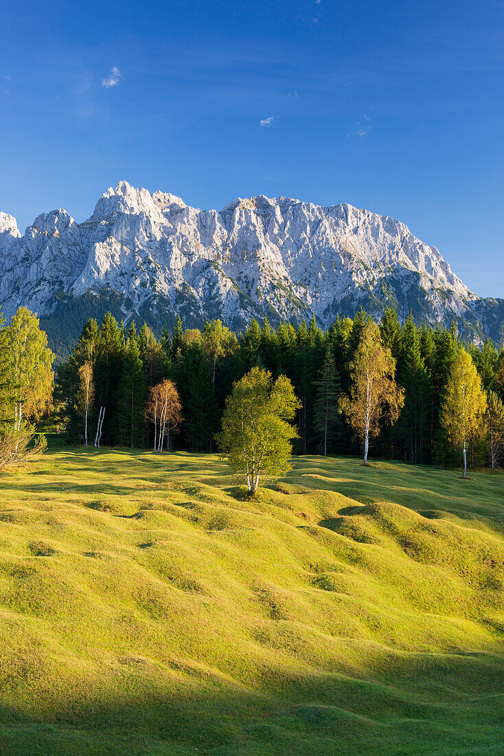 Buckelwiesen zwischen Mittenwald und Krün, Werdenfelser Land, dahinter das Karwendelgebirge, Oberbayern, Bayern, Europa
