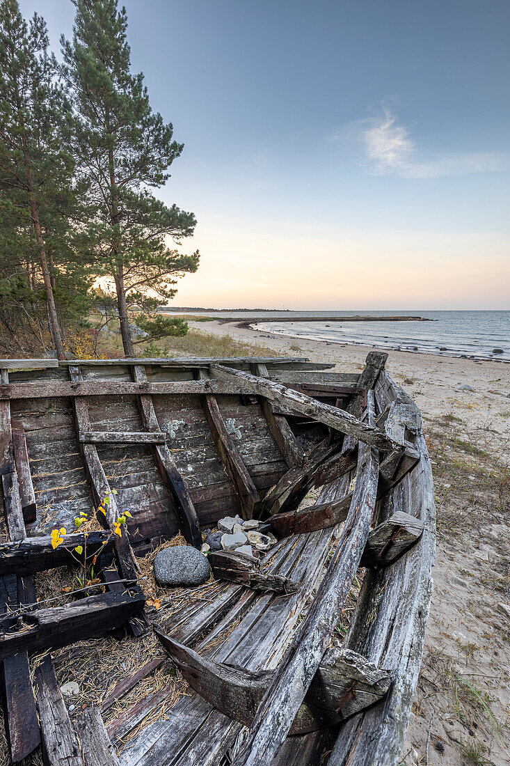 Boatwreck wood on Matsi Beach, Pärnu, Estonia. boat graveyard.