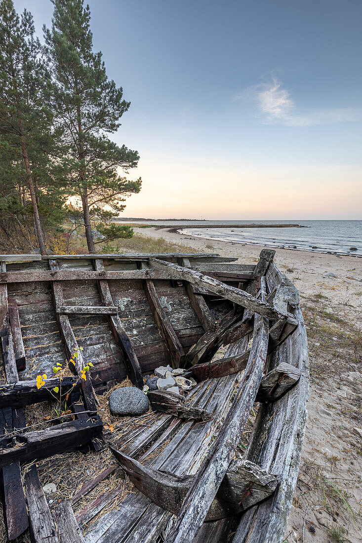 Bootswrack, Holz am Strand von Matsi, Pärnu, Estland. Bootsfriedhof, Baltikum